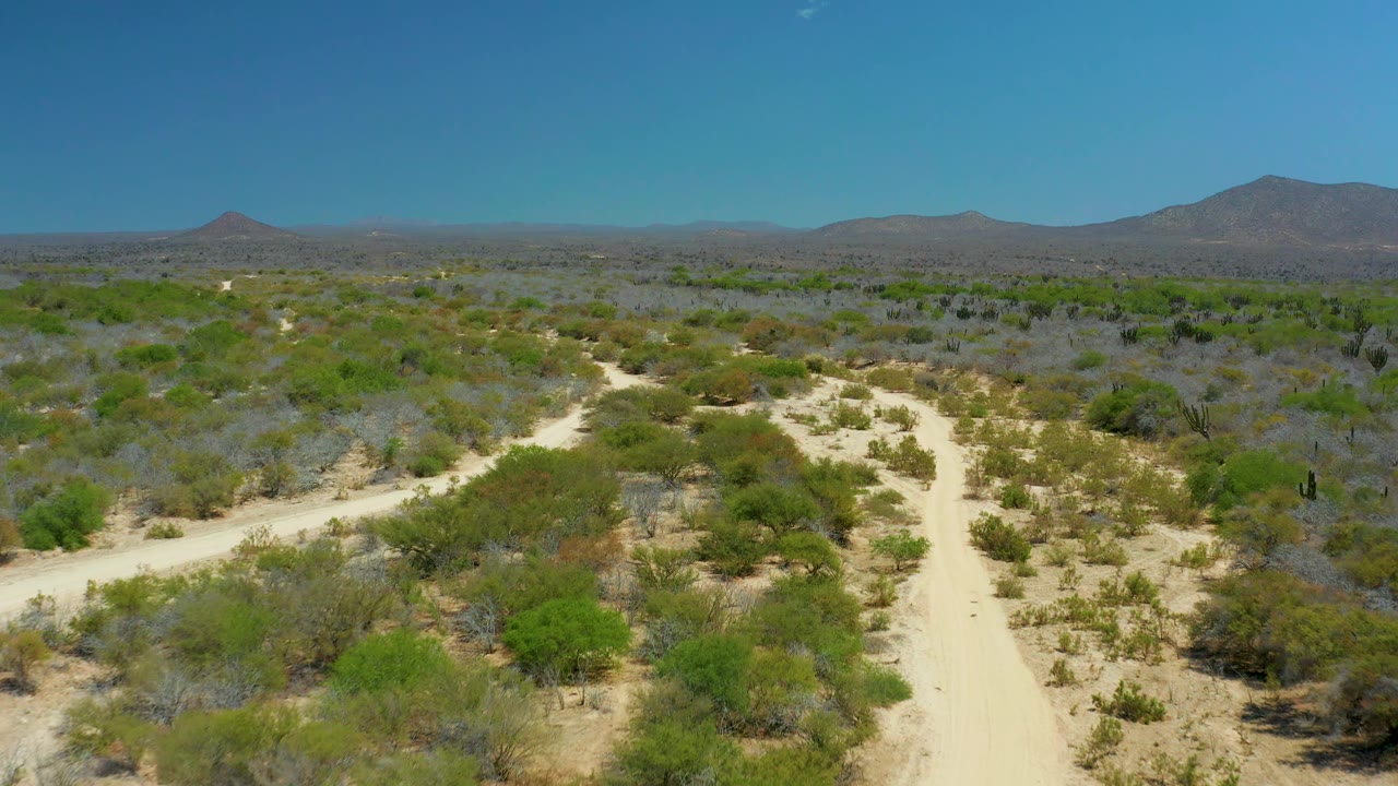 Aerial view over La Laguna Beach Los Cabos showing a sandy road fork among low bushes, with a flat desert plain leading to distant hills beneath bright blue sky, no visible people.