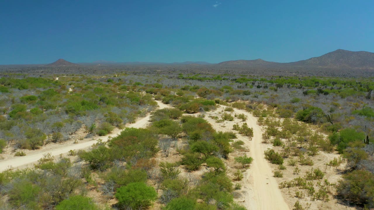 Mid-clip aerial frame in La Laguna Beach Los Cabos with a pale dirt road bending left through dense patches of desert shrub, distant mountains, and hard midday light, no visible people.
