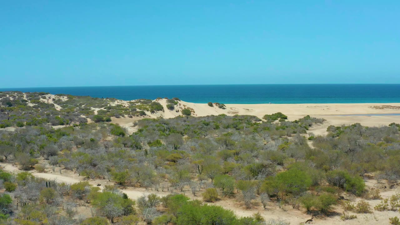 Aerial frame over La Laguna Beach Los Cabos showing low desert shrubs and sandy tracks in the foreground, pale dunes and beach beyond, blue ocean on the horizon, and no visible people.
