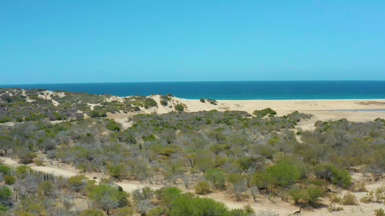 A second view over La Laguna Beach Los Cabos keeps the scrubby dune field in the foreground, with a sandy shoreline strip and calm blue ocean under clear sky, and no visible people.