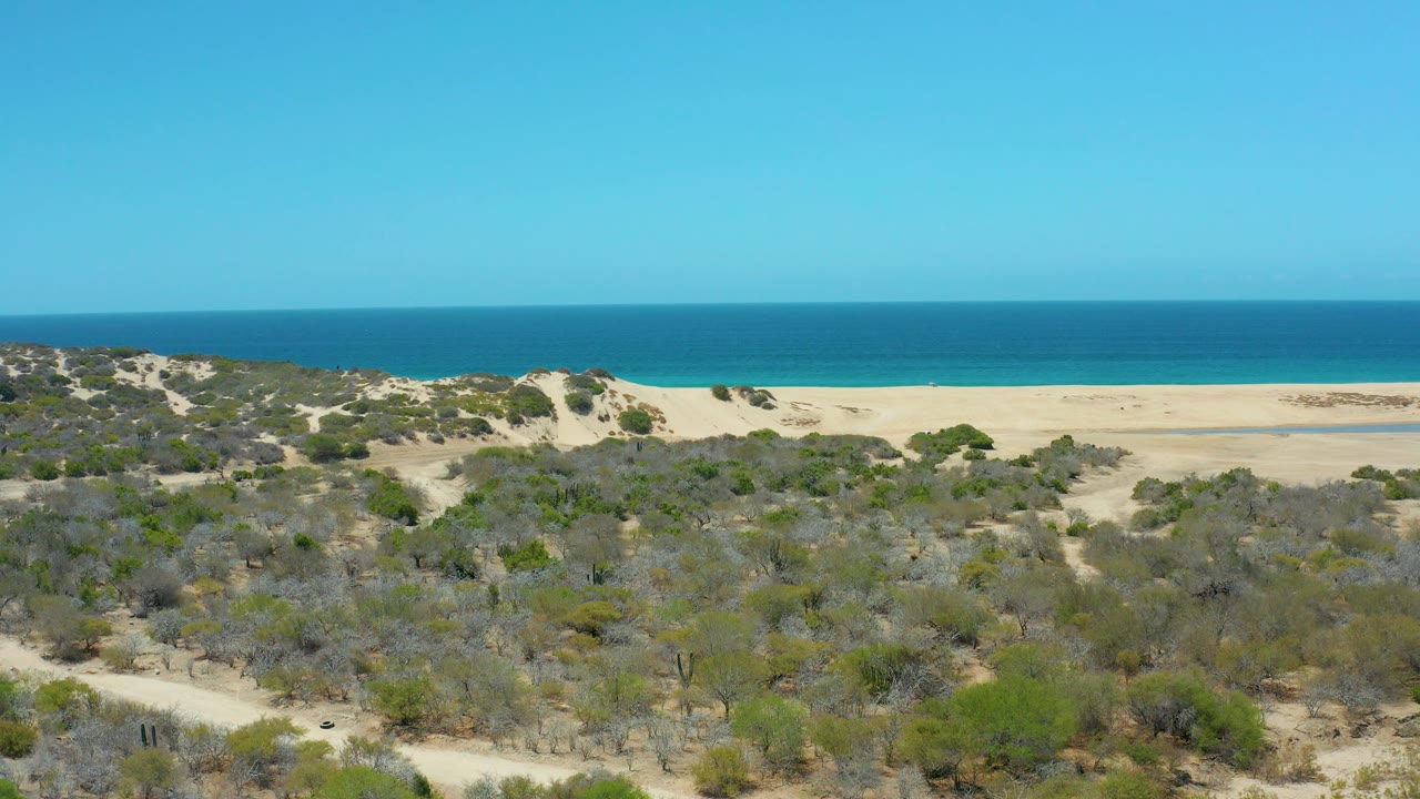 Wide aerial coastline with sandy dunes, scrub vegetation, beach, and ocean.