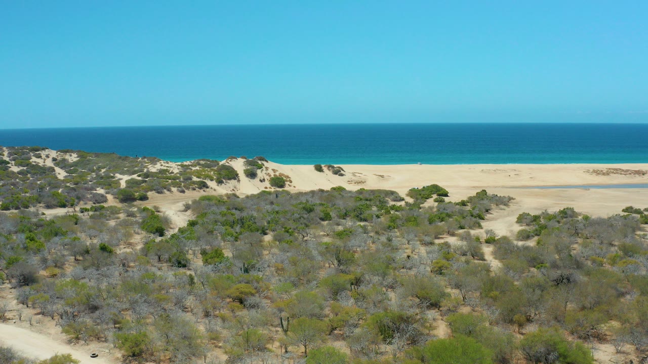 Aerial view of scrub-covered dunes, sandy beach, blue ocean, and clear sky.