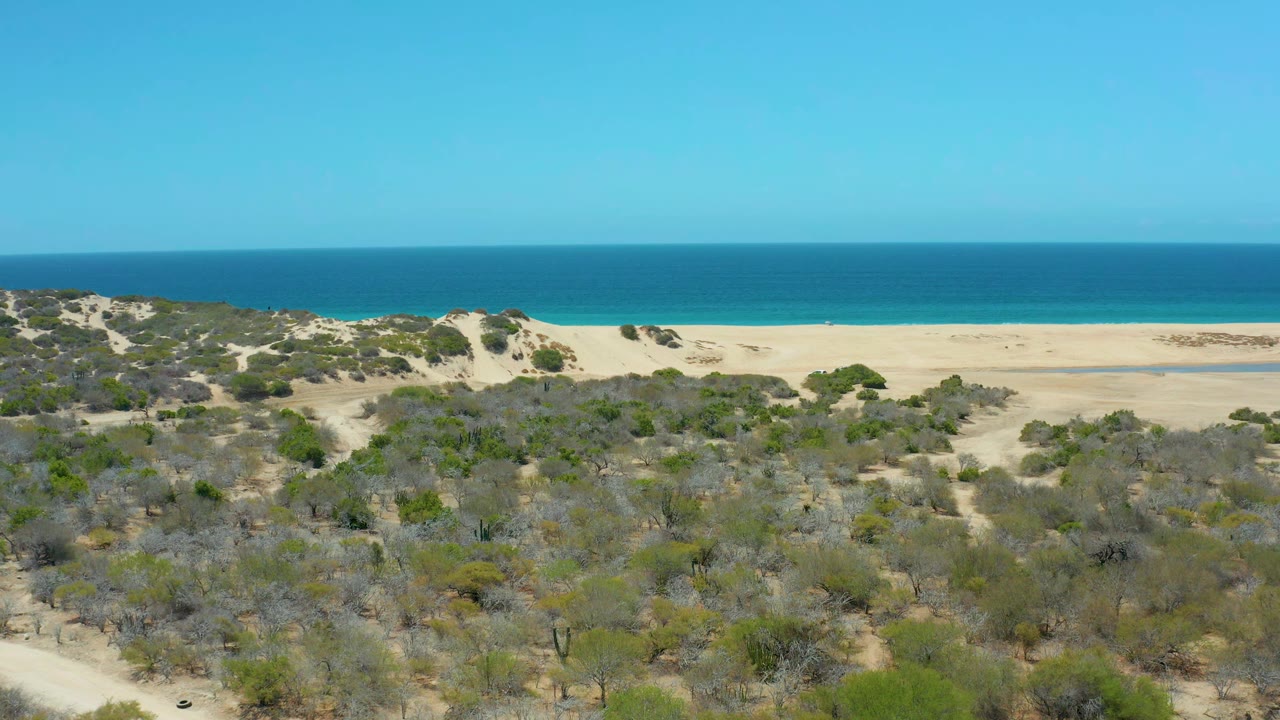 Aerial frame at La Laguna Beach showing scrubby dune vegetation across the foreground, a wide sandy beach band, turquoise shoreline water, darker blue ocean, and no visible people.