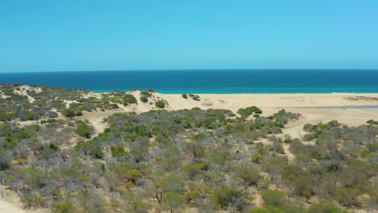 Aerial view at La Laguna Beach with uneven dune mounds and sparse green-gray bushes in the foreground, open sand in the midground, calm blue ocean beyond, and no visible people.