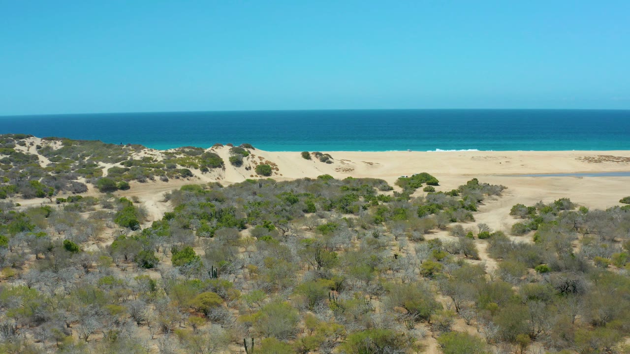 Mid-clip aerial frame over La Laguna Beach where dense low shrubs cover the lower frame, empty sand stretches behind them, the ocean forms a clean blue band, and no visible people appear.