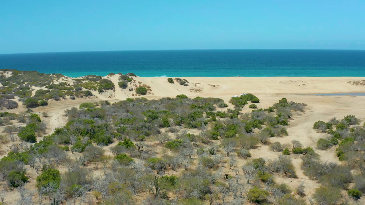 La Laguna Beach Los Cabos appears from above with mixed green and dry shrubs across sandy dunes, open beach behind them, clear blue water, and no visible people.