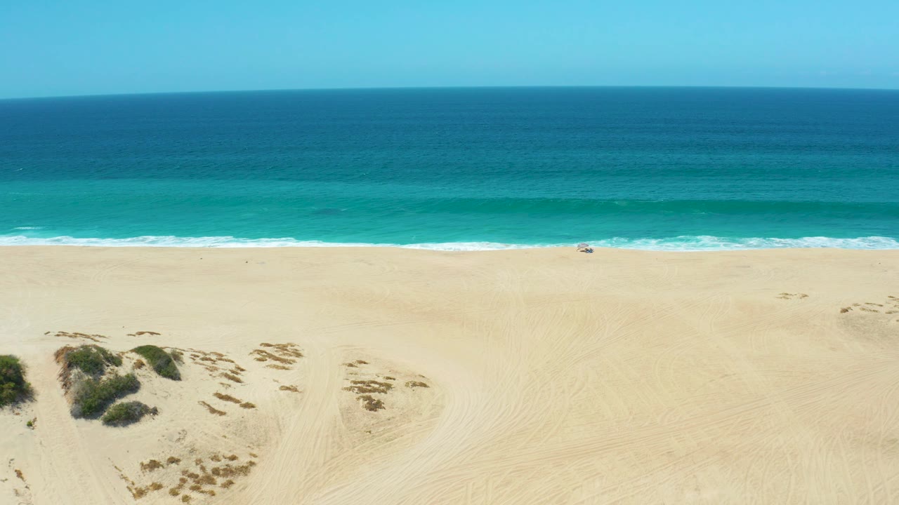 Aerial view over La Laguna Beach Los Cabos with the vegetation cluster shifted toward the lower middle, faint sand tracks, a thin white wave line, and no visible people.