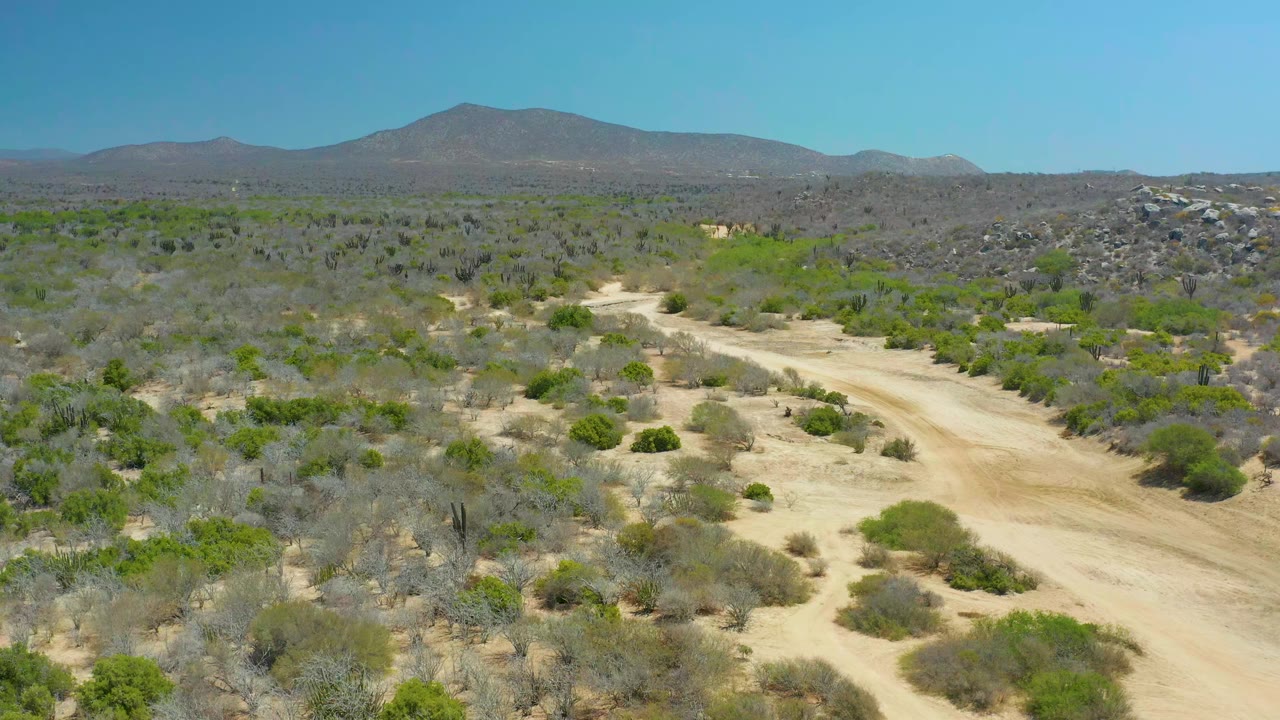 Wide aerial frame from La Laguna Beach Los Cabos BCS Mexico showing a pale dirt road crossing gray-green desert scrub toward low mountains, with no visible people.