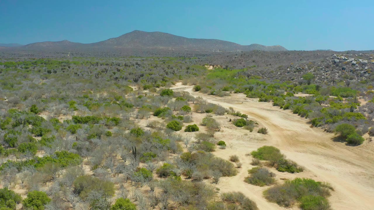 La Laguna Beach Los Cabos aerial view with the sandy road slightly farther through the frame, surrounded by low desert vegetation and distant mountains, with no visible people.