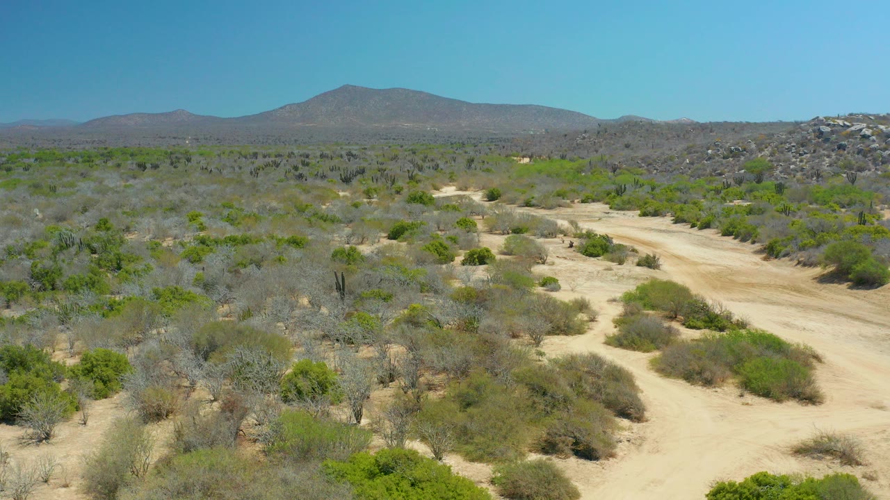 Early frame from La Laguna Beach Los Cabos showing sandy paths cutting through dry green shrubland, rocky hills at right, distant mountains, blue sky, and no visible people.