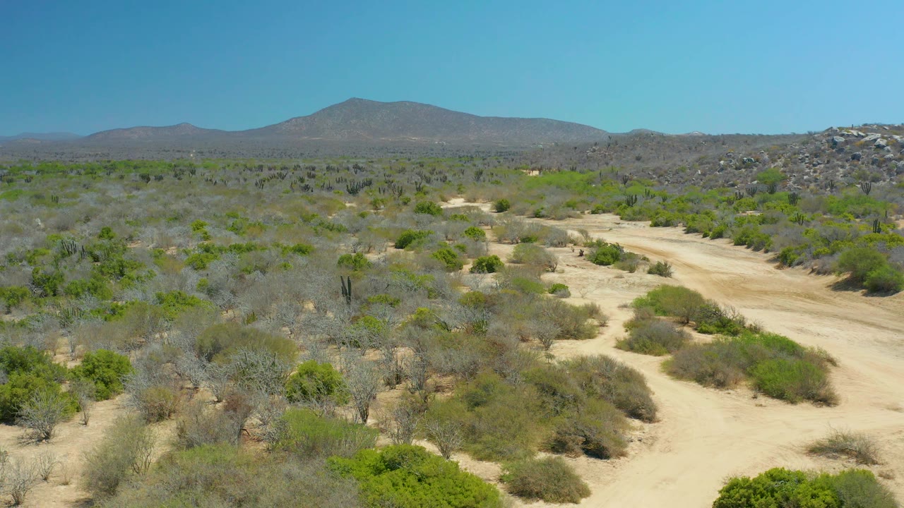 Aerial frame from La Laguna Beach Los Cabos with branching sandy paths, sparse desert vegetation, a rocky rise to the right, distant mountain ridges, and no visible people.