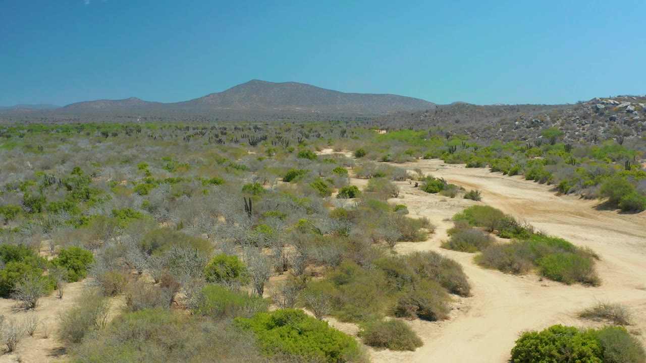 Wide elevated view over dry shrubs and sandy paths toward mountains.