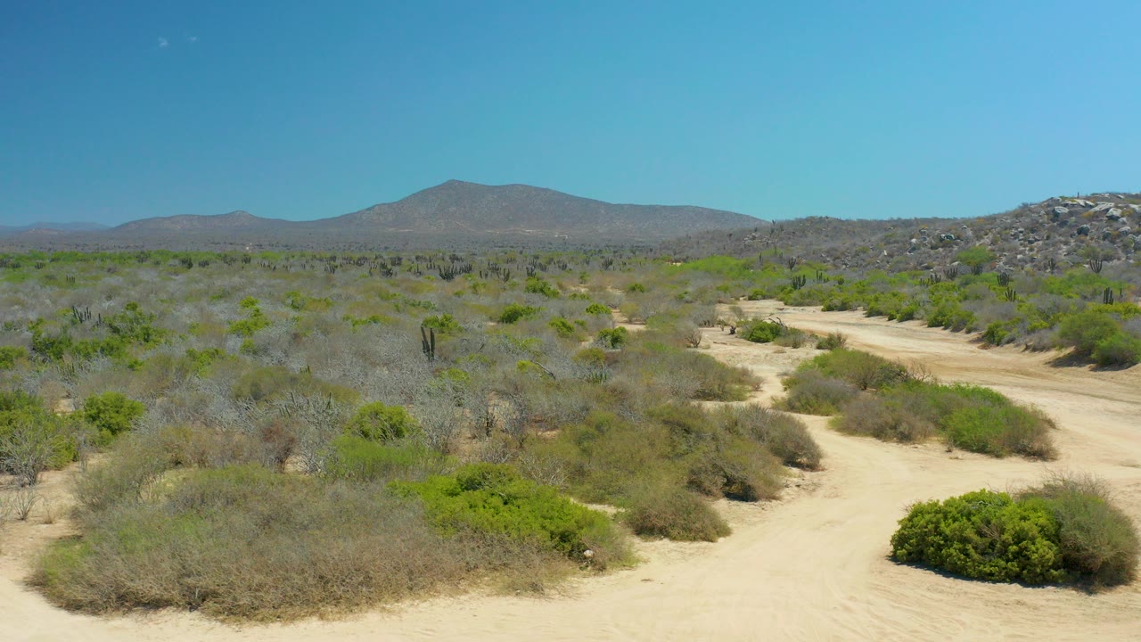 Opening frame of La Laguna Beach Los Cabos desert terrain with a pale sandy path, low scrub, scattered cacti, rocky hills, distant mountains, clear blue sky, and no visible people.