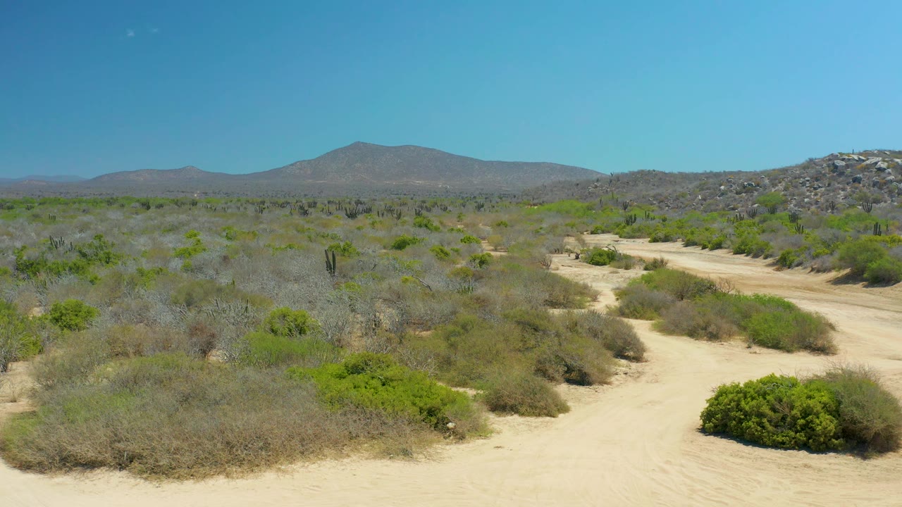 Third frame of the La Laguna Beach Los Cabos desert path, with sandy foreground, dense low brush near the track, a rocky rise at right, distant mountains at left, and no visible people.