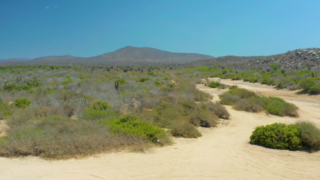 Fourth frame in La Laguna Beach Los Cabos with more sandy foreground visible, a low green shrub near the lower right, cactus silhouettes in the scrub, distant mountain ridges, and no visible people.