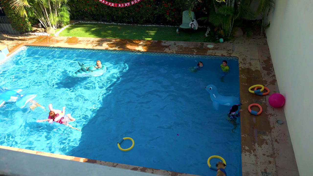 High angled view of children in a San Jose Del Cabo backyard pool, with a blue shark float, yellow rings, a pink ball, and sunlit water partly crossed by shade.