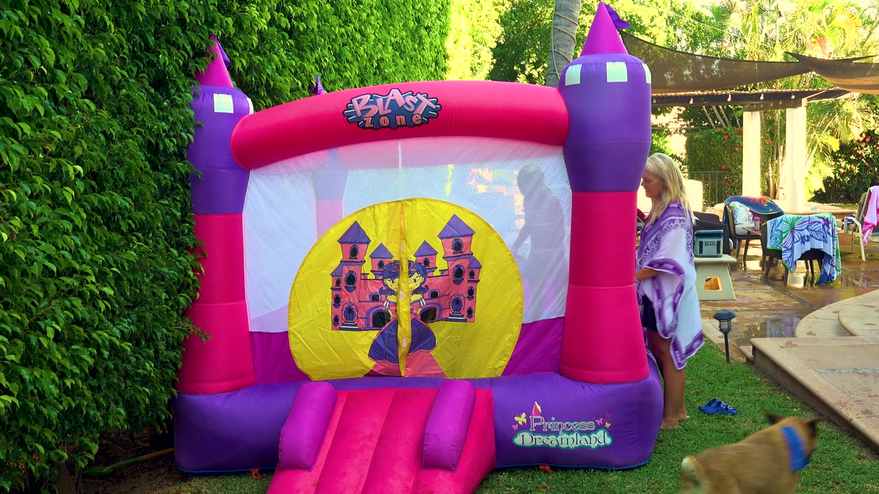 Bouncy castle with a dog entering the grass at the lower right.
