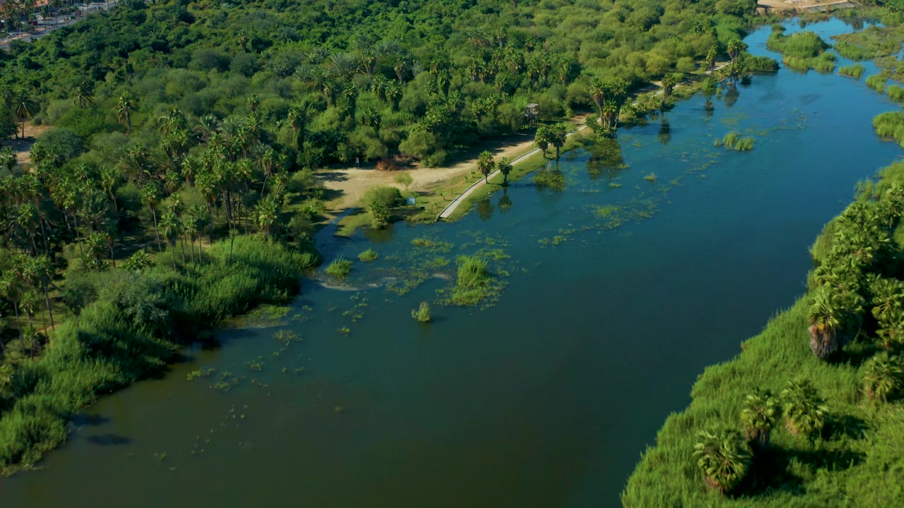 Aerial view in San Jose del Cabo, Mexico looking along calm green-blue water with reeds, trees, sandy patches, and no visible people.