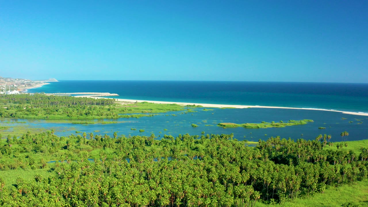 San Jose del Cabo aerial frame with dense green mangroves below, lagoon water and sandbar in the middle, blue ocean beyond, distant town at left, and no visible people.