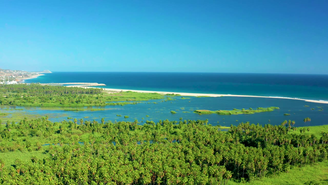 San Jose del Cabo lagoon seen from above with a broad green mangrove foreground, shallow water patches, a pale sandbar, deep blue ocean, distant coastal buildings, and no visible people.