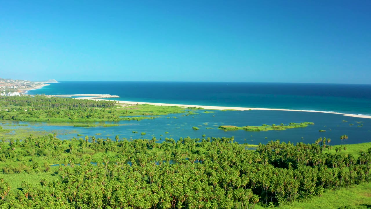San Jose del Cabo coastal wetland frame with textured mangrove canopy in front, blue-green lagoon water, a narrow sand strip, ocean surf line, distant town edge, and no visible people.