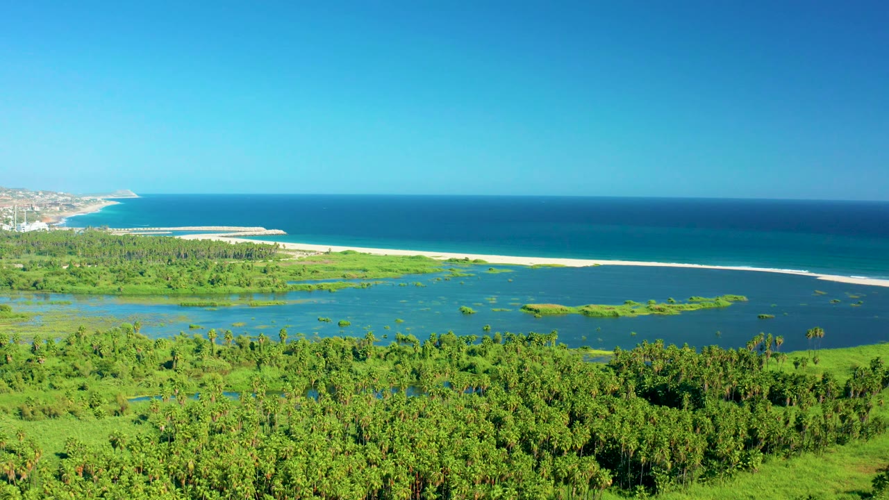 Aerial coastal wetland with green mangroves, lagoon, sandbar, and ocean.