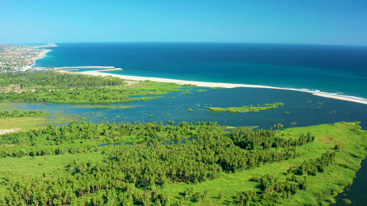 Aerial view of green coastal wetland, lagoon, sandy shore, and blue ocean.