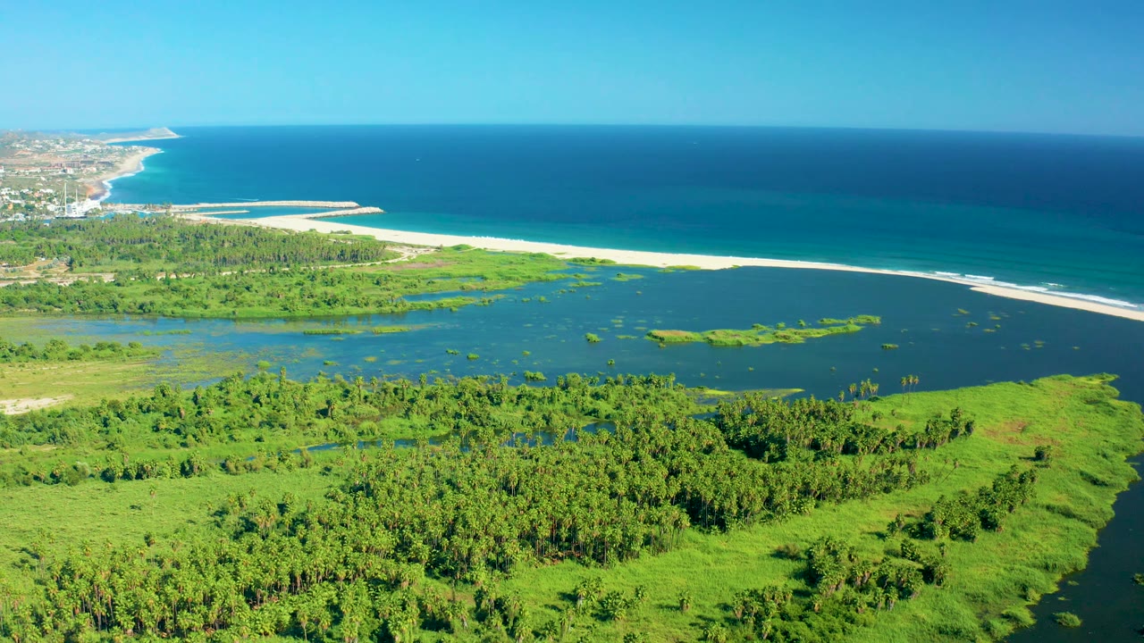 Elevated coastal view in San Jose del Cabo, Mexico, with bright green marshland below, lagoon water across the center, a long sandy beach, blue ocean, and no visible people.