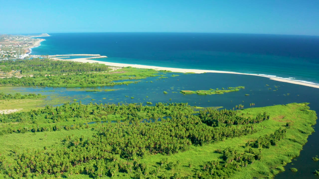 San Jose del Cabo aerial frame with dense green vegetation across the lower frame, calm lagoon water behind it, a white sandy shoreline, blue ocean, distant coastline, and no visible people.