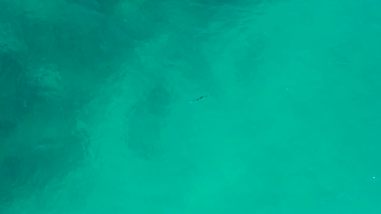 Aerial view of turquoise ocean shallows in San Jose Del Cabo with darker seabed patches and a tiny watercraft near the upper-left area, no visible people.