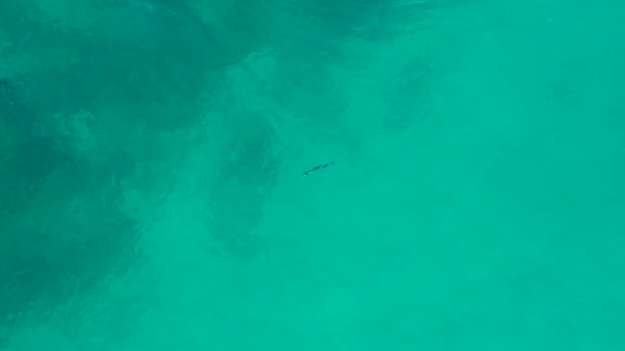 Top-down aerial frame over San Jose Del Cabo shallows with the small watercraft near the upper-right portion of the turquoise water and no visible people.