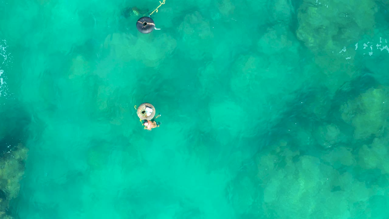 Overhead San Jose Del Cabo water view with one dark ring near the upper area and a lighter ring lower in frame, both surrounded by transparent blue-green water.