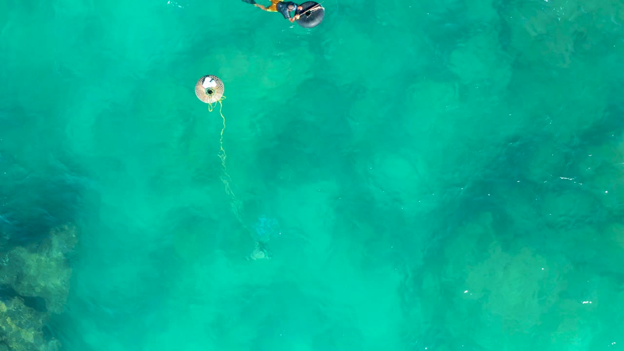 Aerial frame from San Jose del Cabo showing the buoy centered high in clear turquoise water, rope trailing downward, and the snorkeler crossing near the top border.