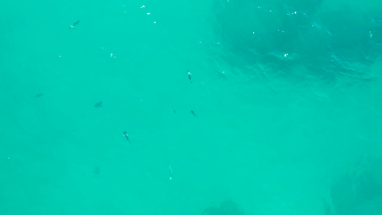 Tiny fish and small bubbles are visible in clear turquoise water in San Jose Del Cabo, with darker submerged patches below and no visible people.