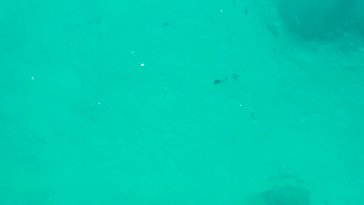 Opening frame of shallow turquoise sea in San Jose Del Cabo with scattered small fish, faint seabed patches, bright water reflections, and no visible people.
