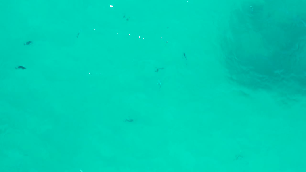 Small fish drift through turquoise water as a faint darker rock or coral shape begins to show near the right side, with no visible people.