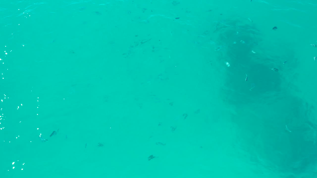 An underwater San Jose del Cabo frame shows fish dispersed through blue-green water, bright surface highlights, and a softened submerged structure with no visible people.