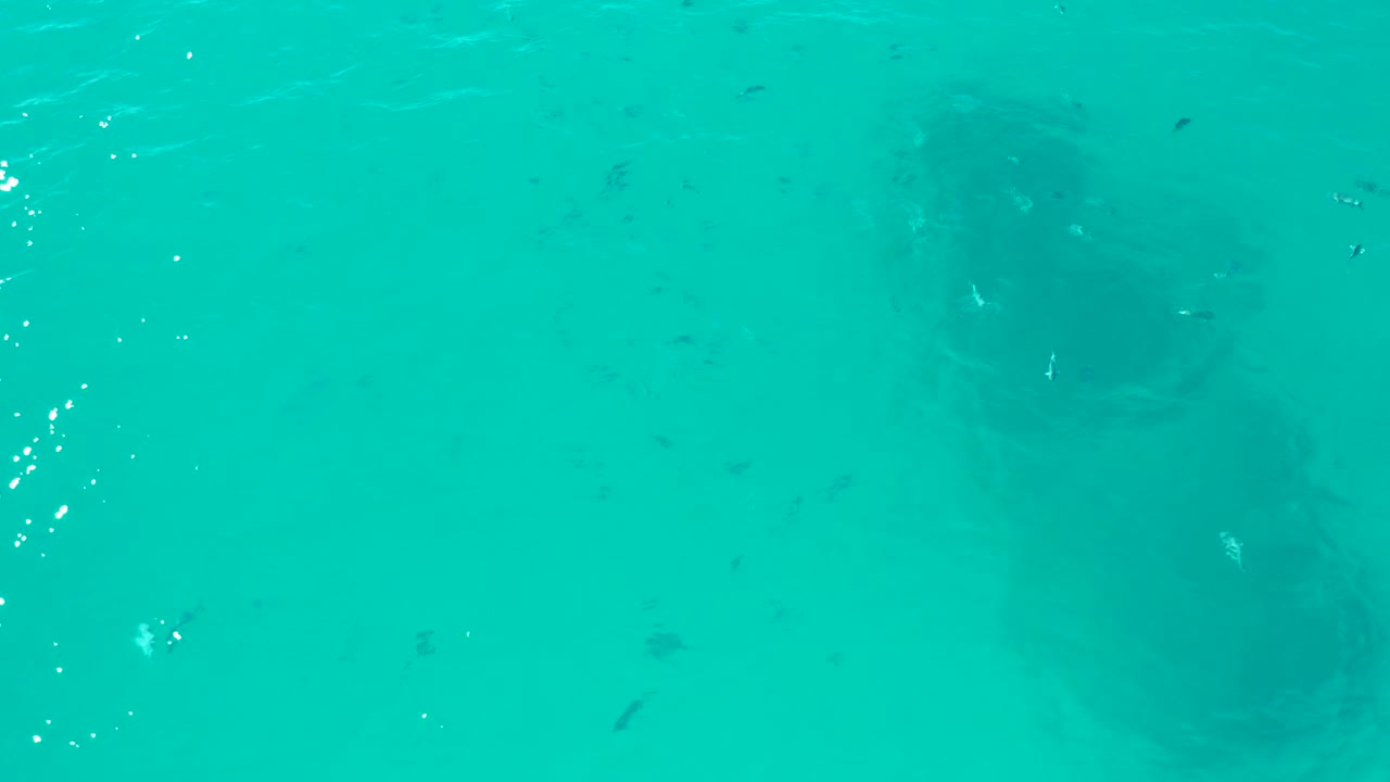 Fish specks are visible in turquoise water near a shadowed submerged structure in San Jose del Cabo, with a few bright surface glints and no visible people.