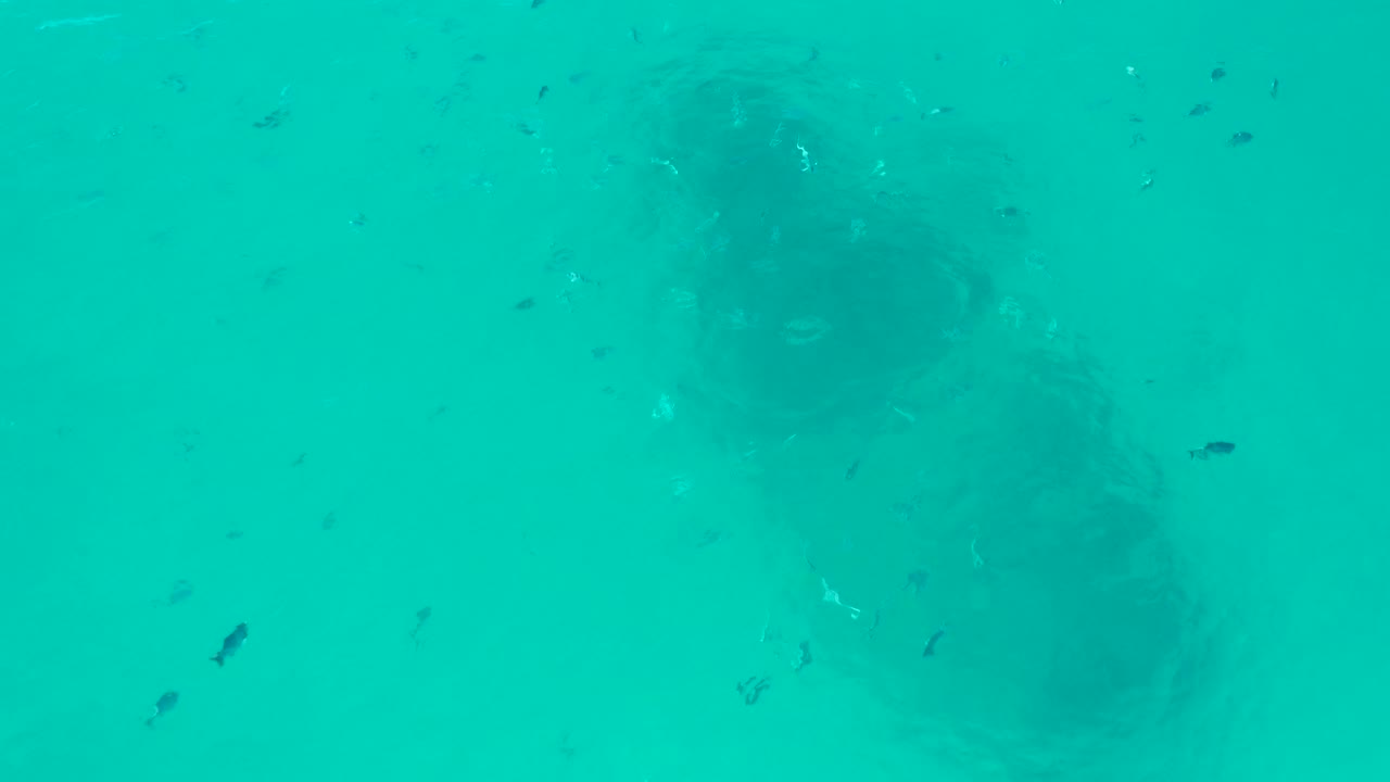 Turquoise water above a submerged shipwreck with small fish