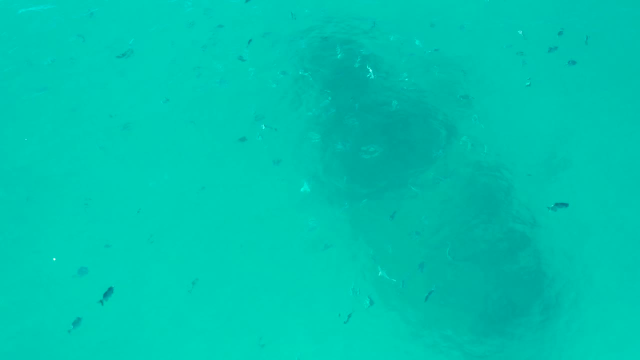 A second view shows the shipwreck still centered below the turquoise water in San Jose del Cabo, with small fish shifted slightly across the open water and no visible people.