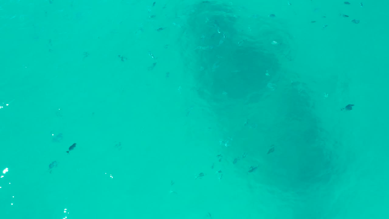 The shipwreck remains beneath the turquoise surface in San Jose del Cabo, with fish scattered farther across the frame and faint surface highlights near the edge, no visible people.