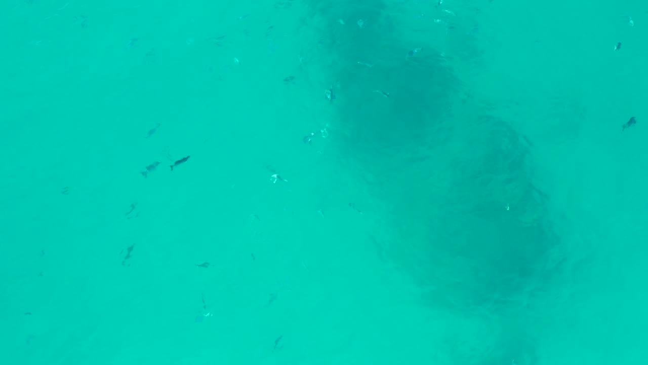 Turquoise water with a dark submerged structure and small fish.