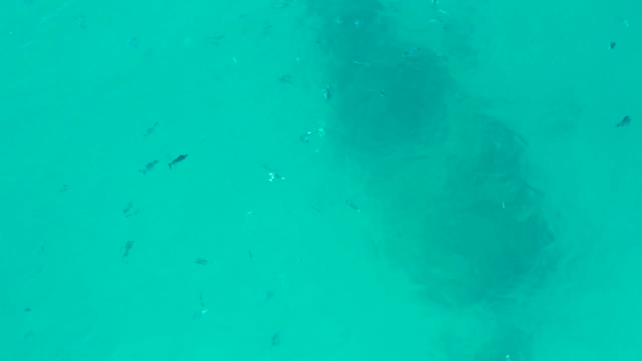 Clear blue-green water in San Jose del Cabo shows the submerged structure slightly lower in frame, with small fish dots and no visible people.