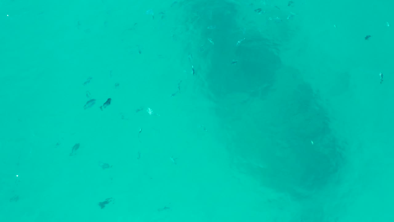 The submerged structure sits near the middle of clear San Jose del Cabo water, with faint fish specks around the frame and no visible people.