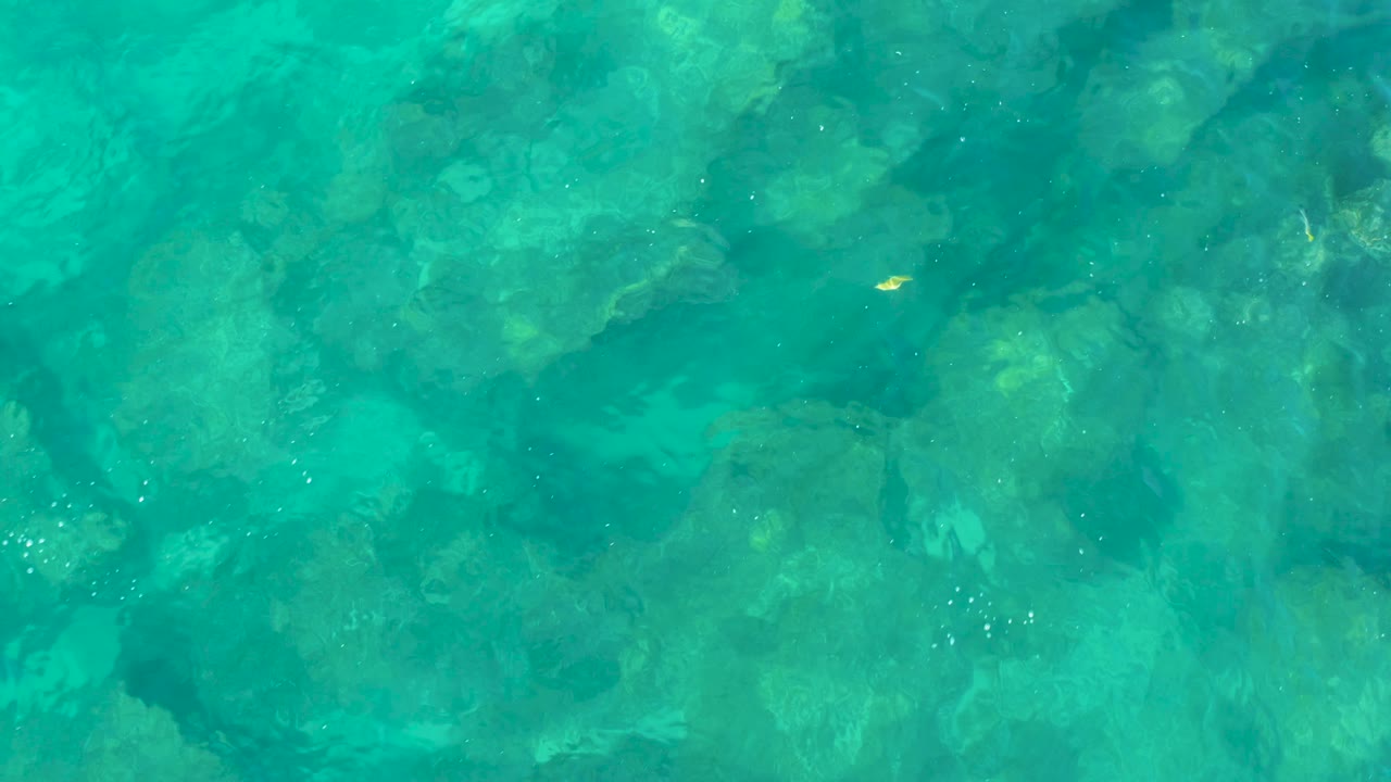 Turquoise water over darker submerged rocks in San Jose Del Cabo includes a tiny yellow fish near the right side and no visible people.