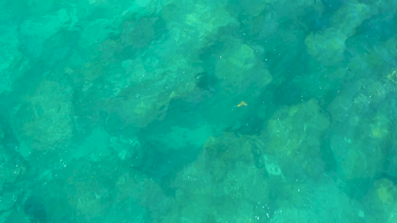 Rocky seabed seen through turquoise water