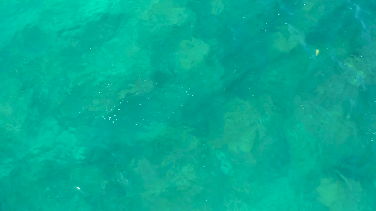 Rocky seabed is visible through transparent turquoise water in San Jose del Cabo, with brighter rock forms under small surface ripples and no visible people.