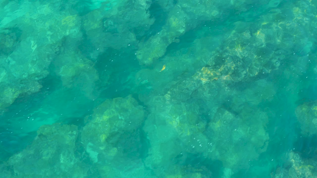 Top-down view of clear turquoise water over rounded rocks in San Jose Del Cabo, Baja California Sur, with tiny fish shapes near the rocks and no visible people.