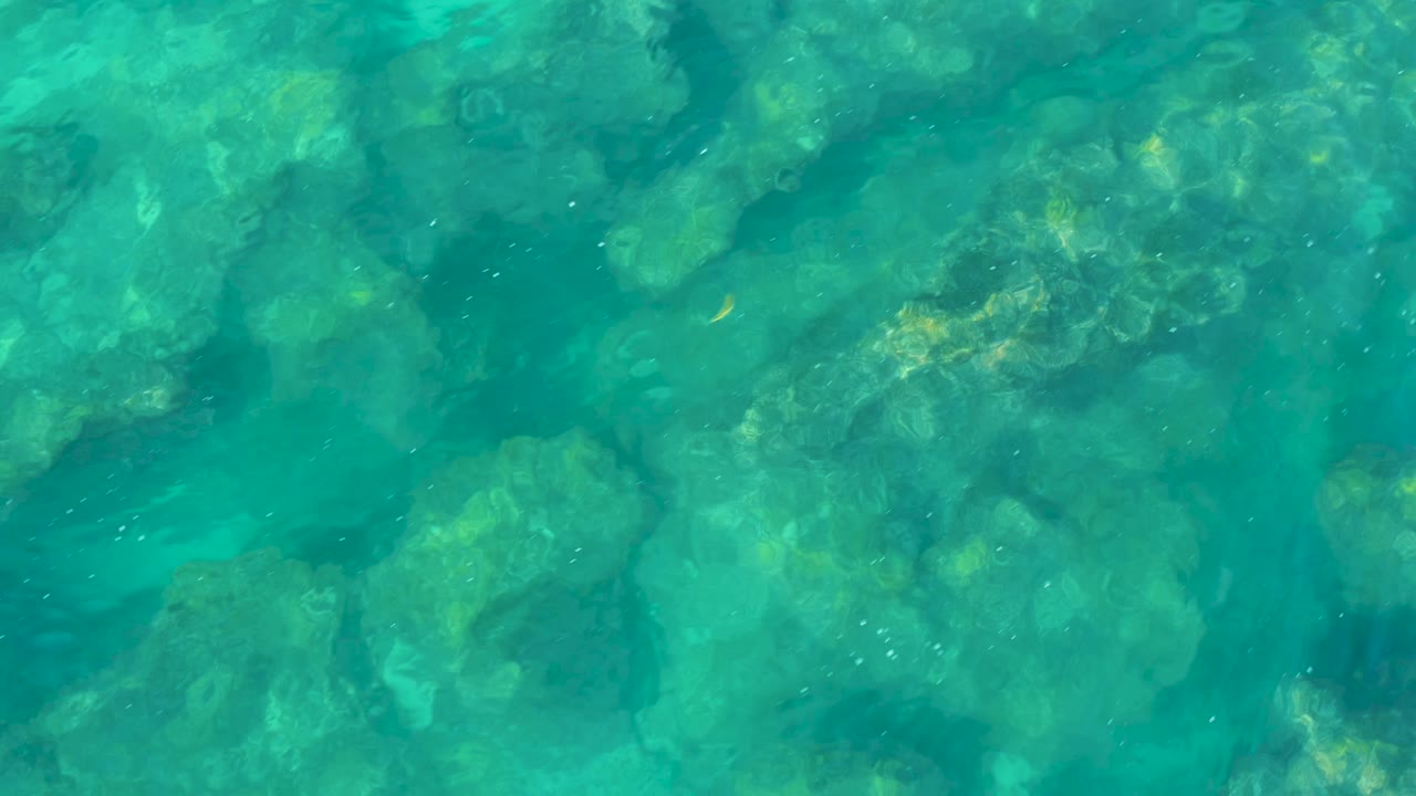 Clear water and submerged rocks with faint fish movement