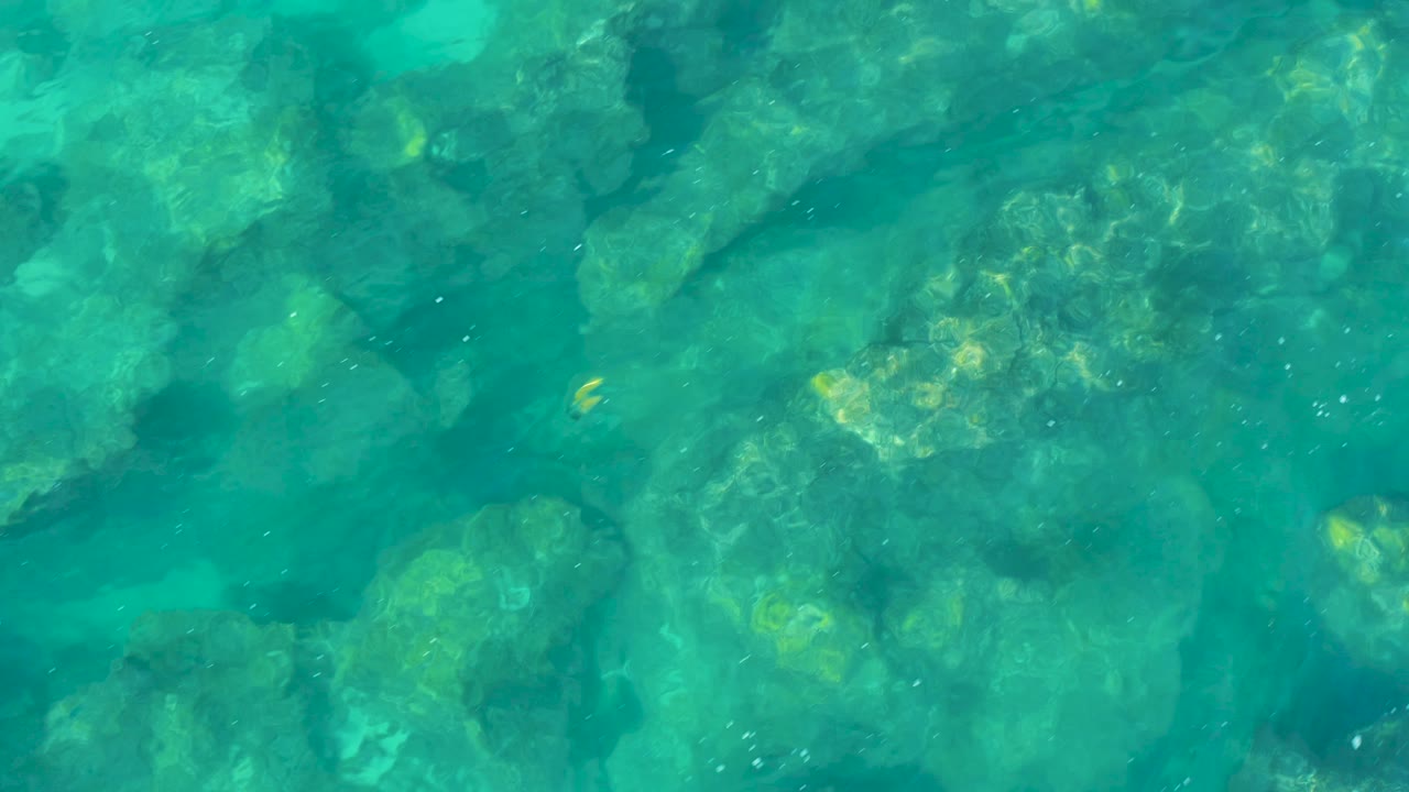 A top-down frame shows the rocky seabed softened by turquoise water in San Jose Del Cabo, with faint fish shapes and no visible people.